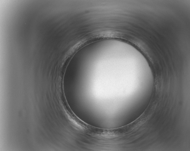 X0000080150445200612221953