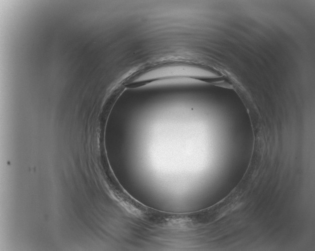 X0000080150446200612221953