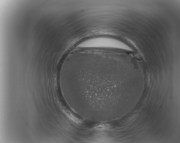 X0000080150447200612221953