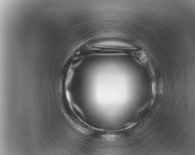 X0000080150448200612221953