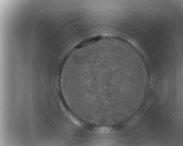 X0000080150449200612221953