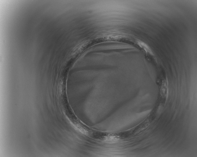 X0000080150451200612221953