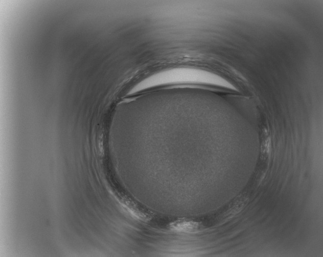 X0000080150452200612221953