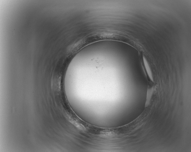 X0000080150454200612221953