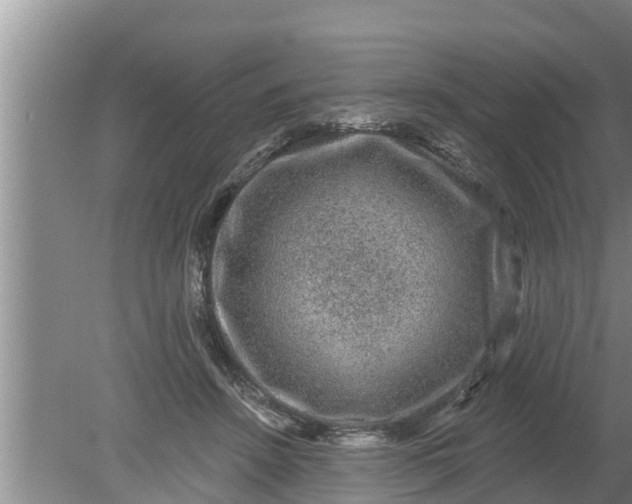 X0000080150456200612221953