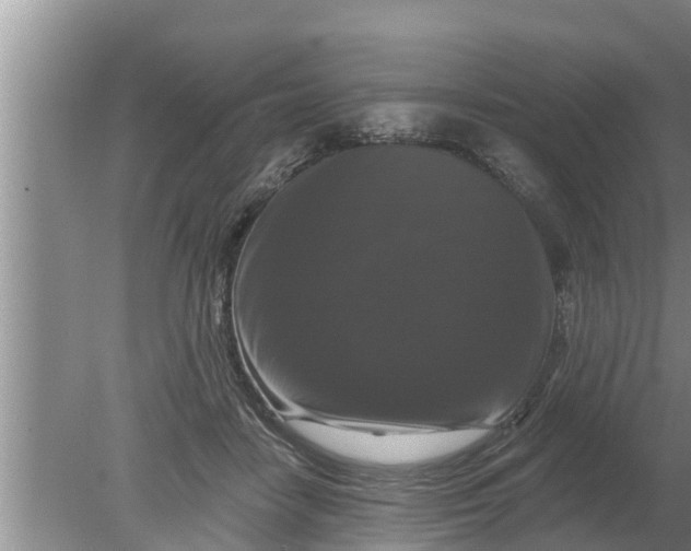 X0000080150458200612221953