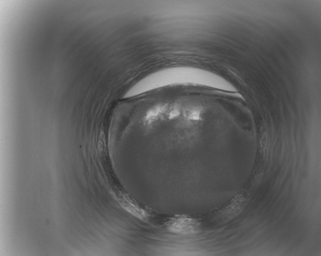 X0000080150459200612221953