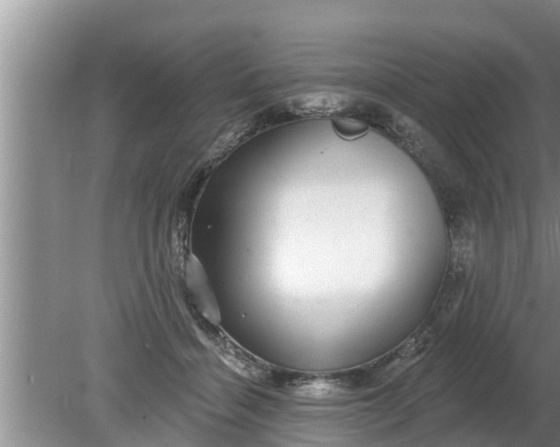 X0000080150460200612221953