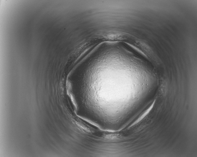 X0000080150461200612221953