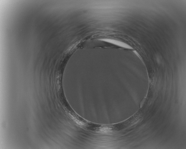 X0000080150462200612221953