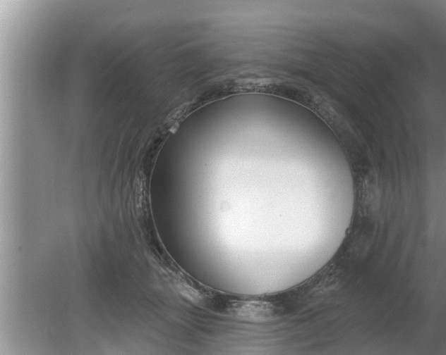 X0000080150463200612221953