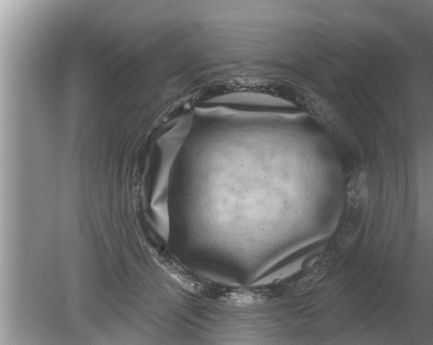 X0000080150464200612221953