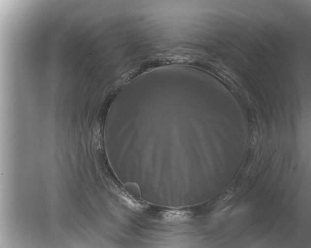 X0000080150465200612221953