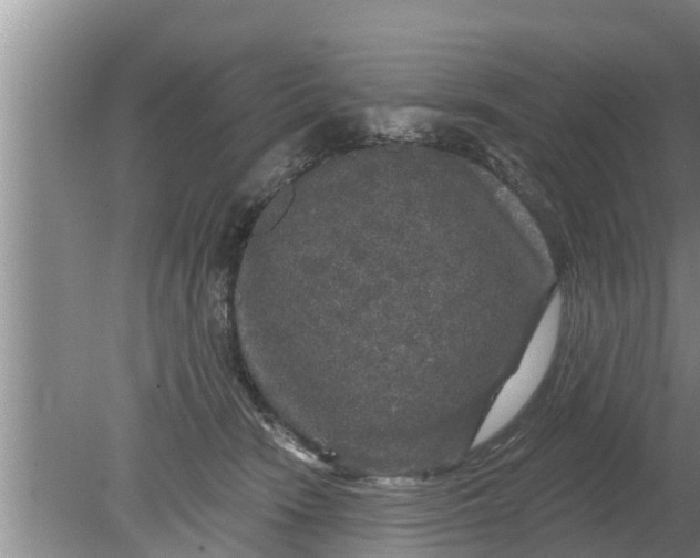 X0000080150466200612221953