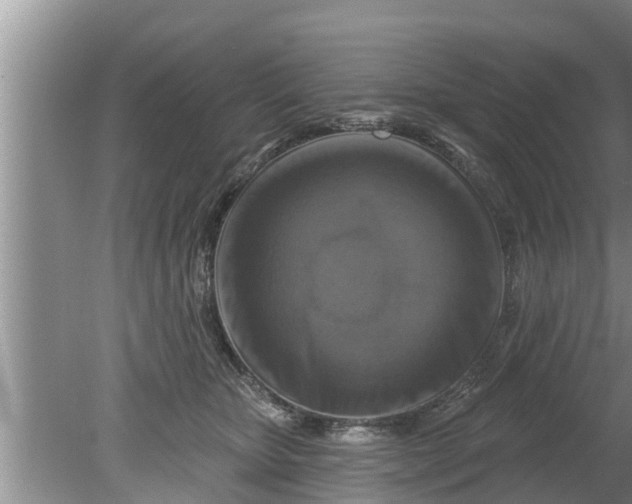 X0000080150467200612221953