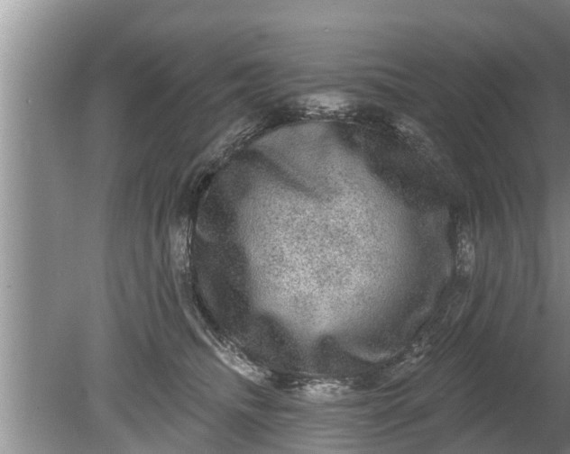 X0000080150468200612221953