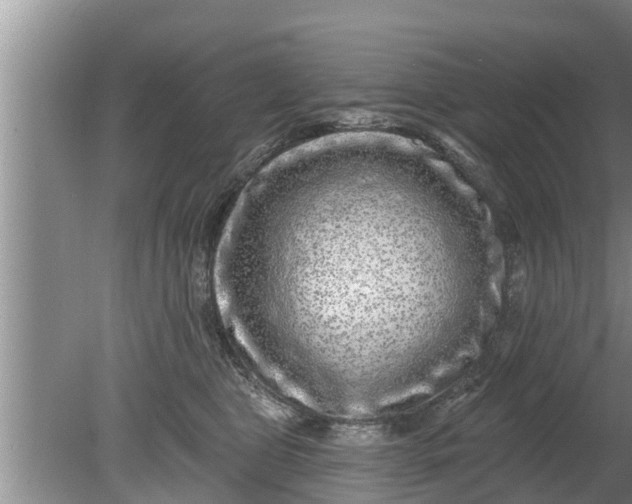 X0000080150469200612221953