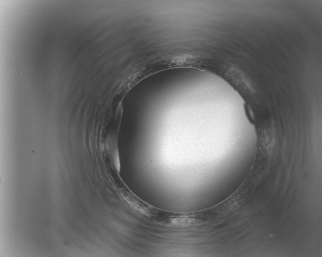 X0000080150470200612221953