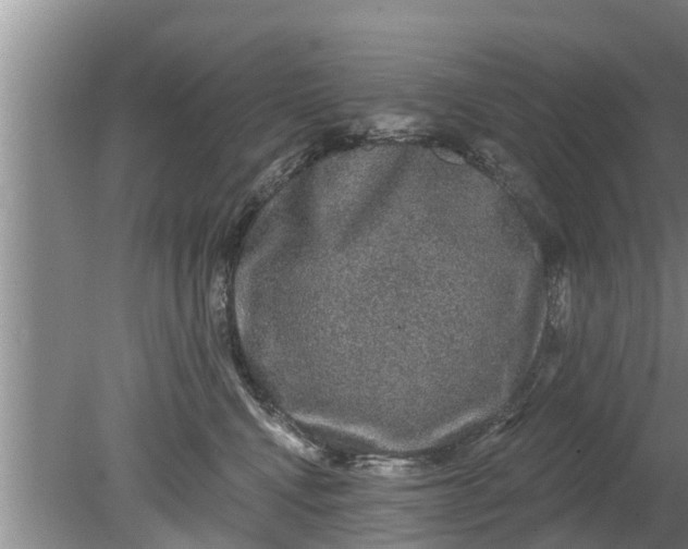 X0000080150472200612221954