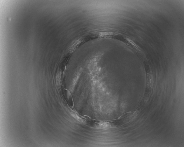 X0000080150475200612221954