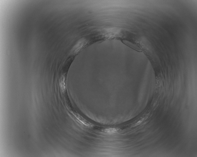 X0000080150479200612221954