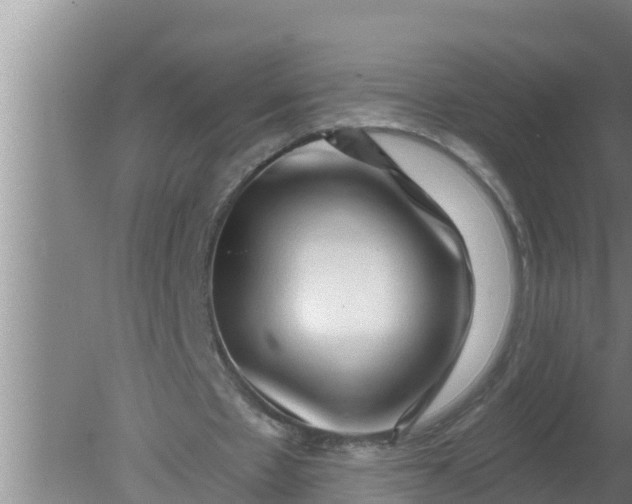 X0000080150481200612221953