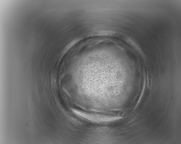 X0000080150483200612221953