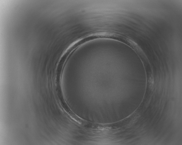 X0000080150484200612221953