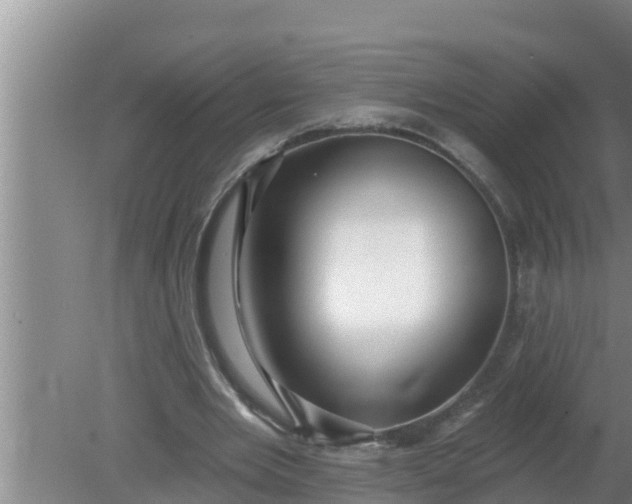 X0000080150485200612221953