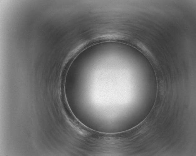 X0000080150486200612221953