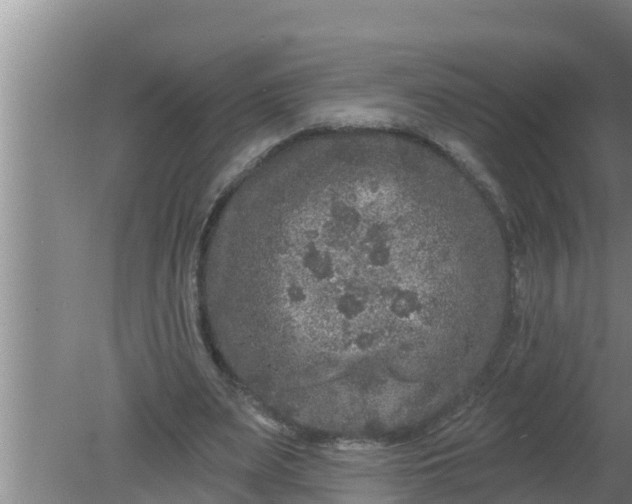 X0000080150487200612221953