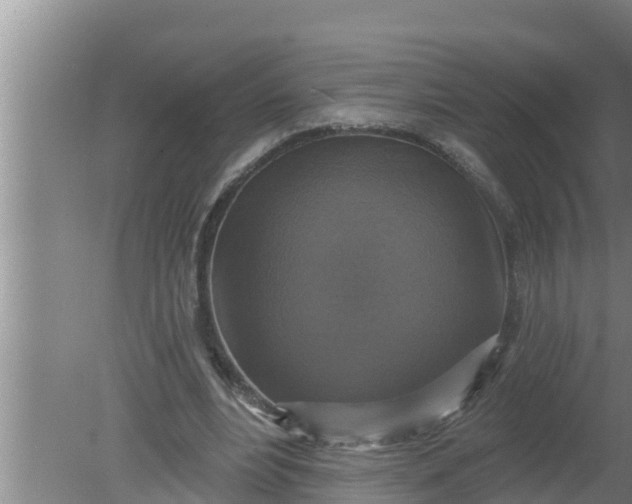 X0000080150488200612221953