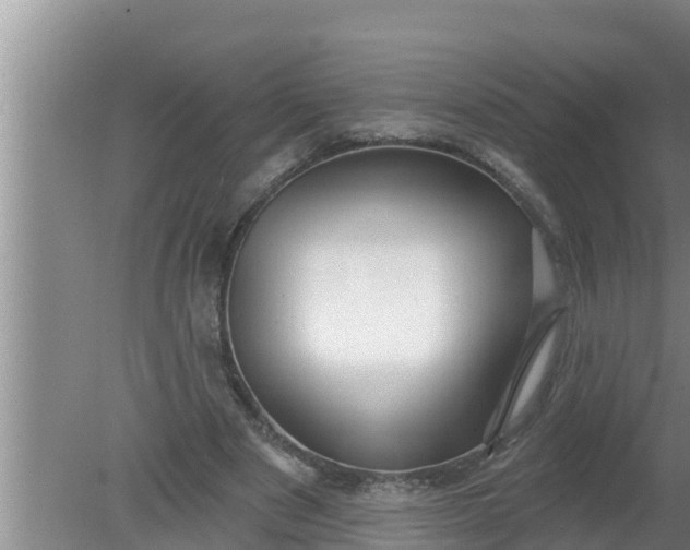 X0000080150489200612221953