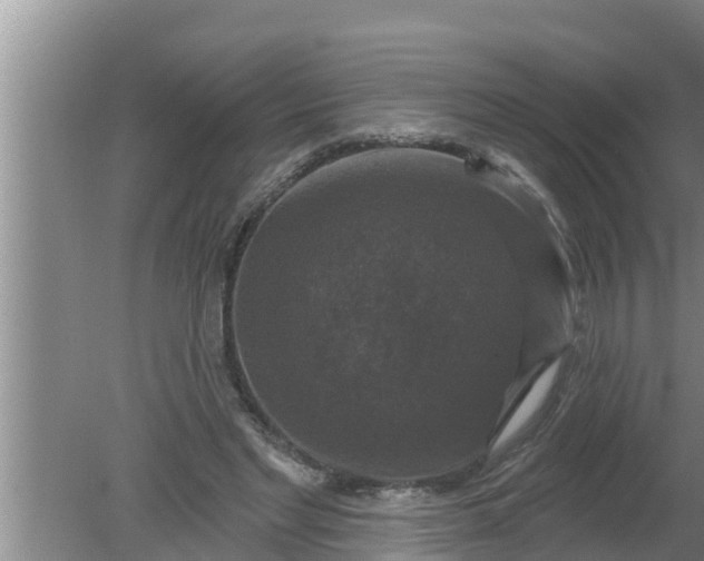 X0000080150493200612221953