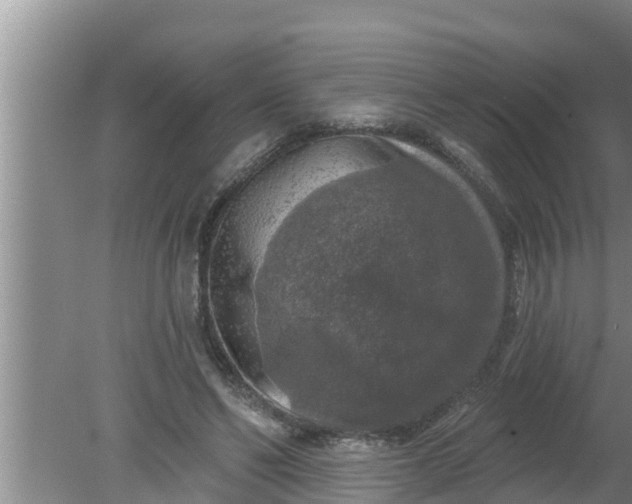 X0000080150494200612221953