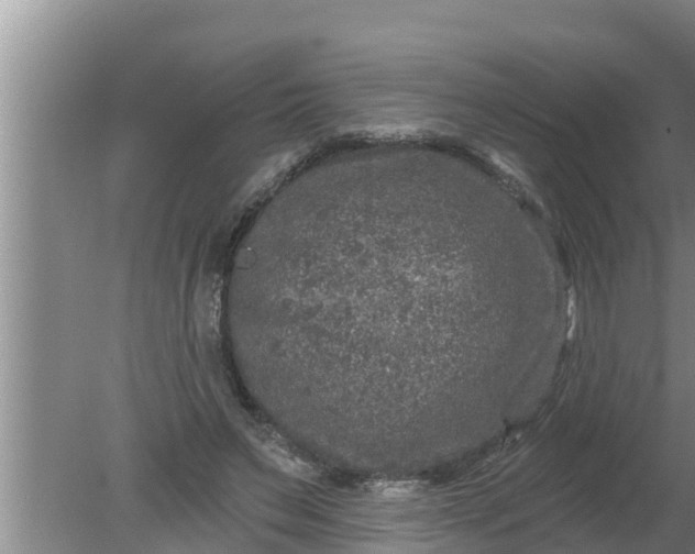 X0000080150495200612221953