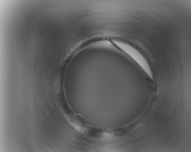 X0000080150496200612221953