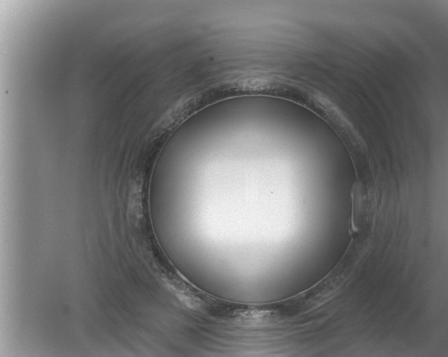 X0000080150497200612221953