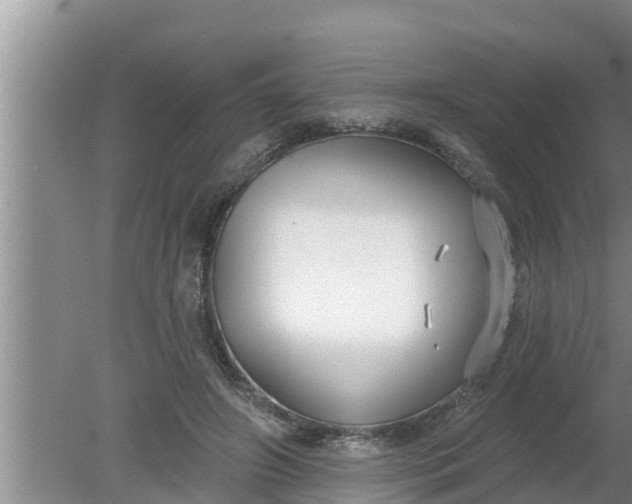 X0000080150498200612221953