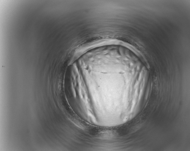 X0000080150499200612221953