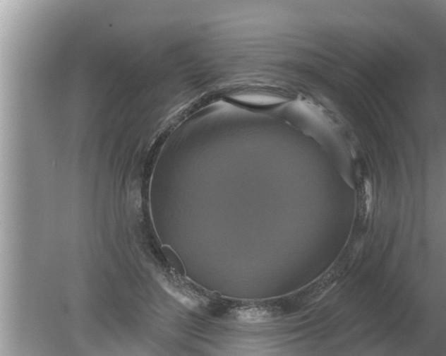 X0000080150500200612221953