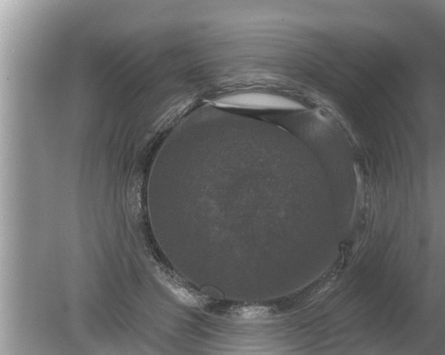 X0000080150501200612221953