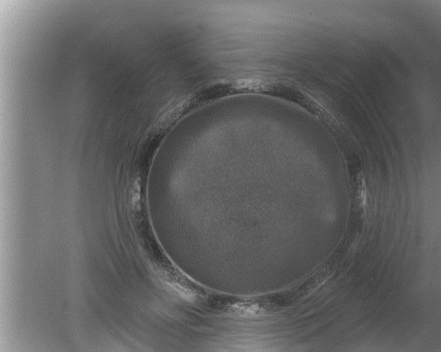 X0000080150502200612221952