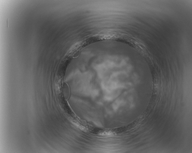 X0000080150503200612221952