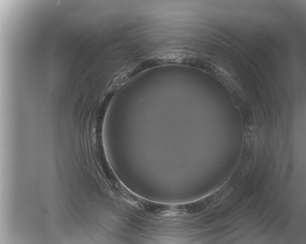 X0000080150504200612221952