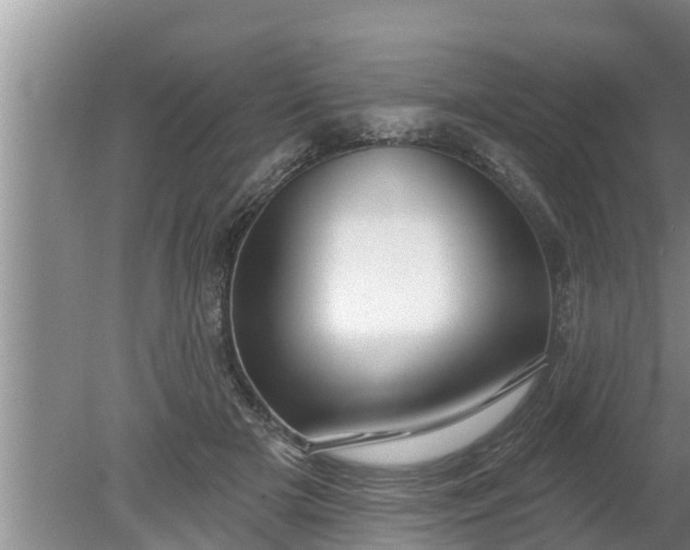 X0000080150505200612221952