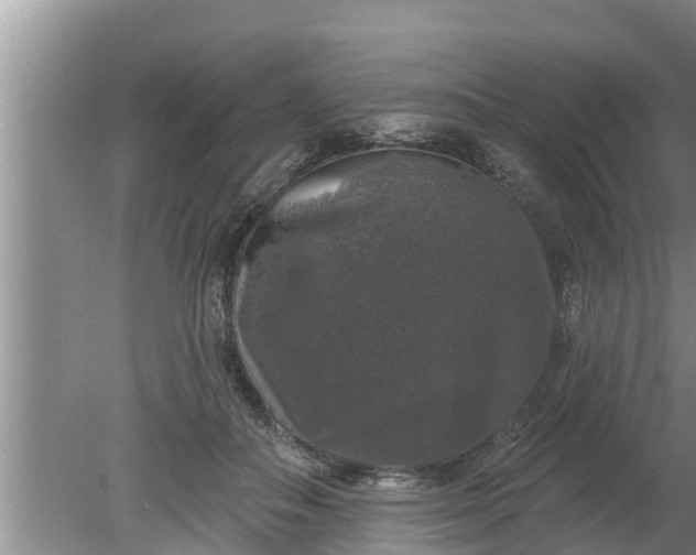 X0000080150506200612221952