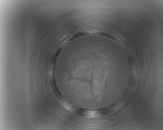 X0000080150507200612221952