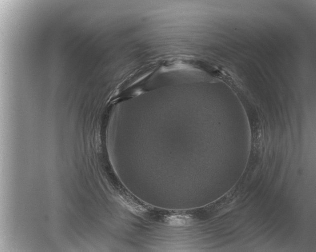 X0000080150508200612221952