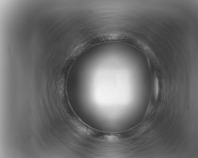 X0000080150509200612221952